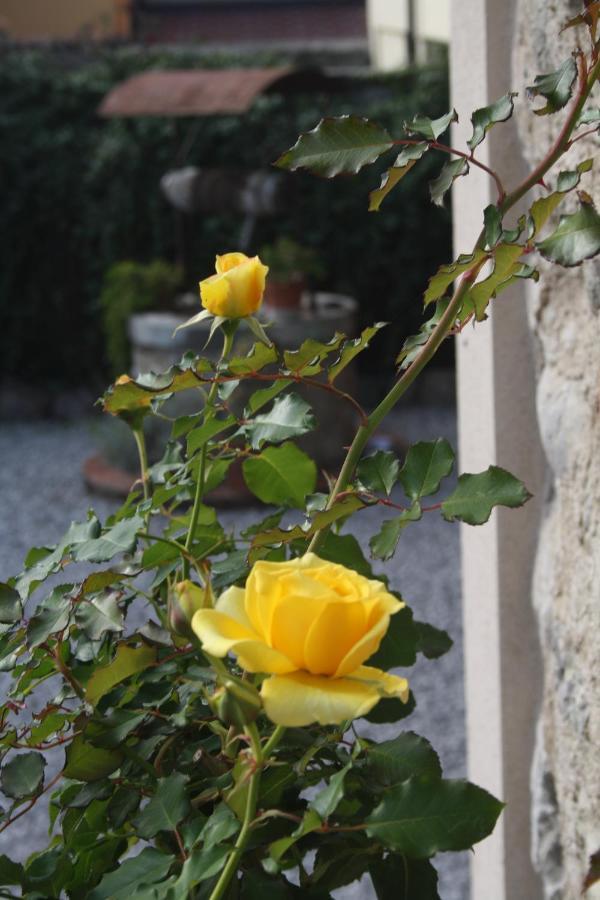 مبيت وإفطار Passirano Cascina San Martino المظهر الخارجي الصورة